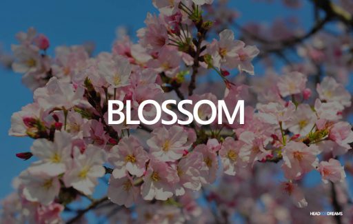 Dream about blossom