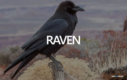 Dream about a raven
